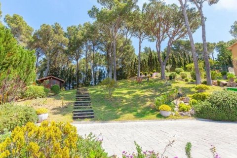 Купить дом в Тамариу, Испания с 6 комнат, № 1765 - фото 9
