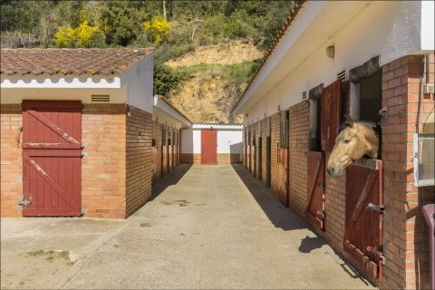 Купить дом в Сан-Андреу-де-Льяванерес, Испания с 6 комнат, № 1762 - фото 8