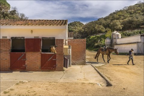 Купить дом в Сан-Андреу-де-Льяванерес, Испания с 6 комнат, № 1762 - фото 11