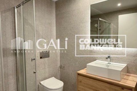 Снять в аренду квартиру в Андорра, Испания с 3 спальни, 113м², № 8007 - фото 22