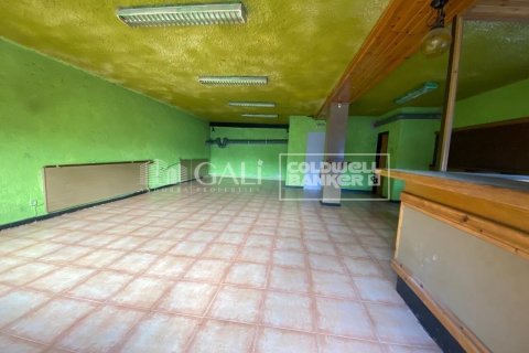 Снять в аренду коммерческую недвижимость в Андорра, Испания 170м², № 8009 - фото 16