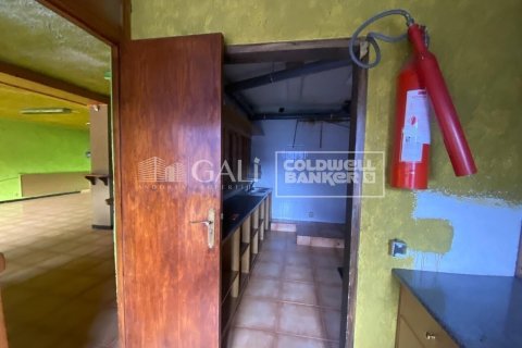Снять в аренду коммерческую недвижимость в Андорра, Испания 170м², № 8009 - фото 18