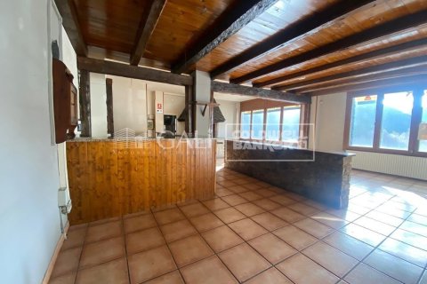 Коммерческая недвижимость 170м² в Принципате Андорре , Лерида, Каталония, Испания № 8009