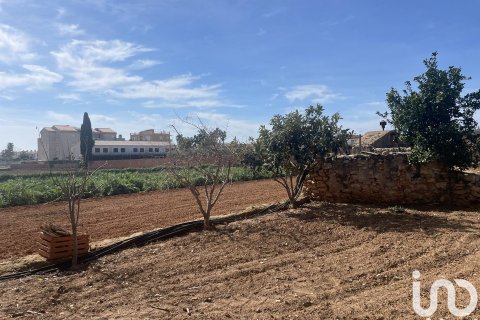 Купить земельный участок в Торредембарра, Испания 9645м², № 4991 - фото 4