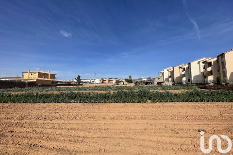 Купить земельный участок в Торредембарра, Испания 9645м², № 4991 - фото 5