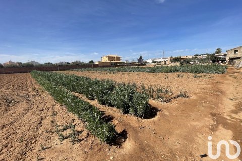 Купить земельный участок в Торредембарра, Испания 9645м², № 4991 - фото 7