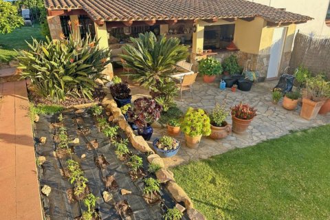 Купить дом в Льорет-де-Мар, Испания с 5 комнат, № 1378 - фото 21