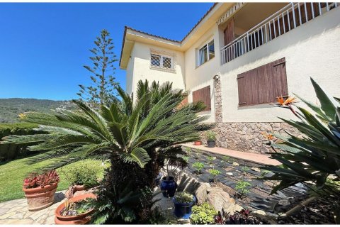 Купить дом в Льорет-де-Мар, Испания с 5 комнат, № 1378 - фото 14