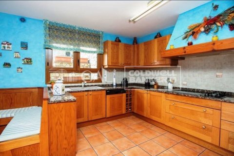 5 bedrooms villa for sale in Principado De Andorra (Ninguna Poblacion Tiene C.P.), Lleida, Catalonia, Spain № 6006 - photo 4