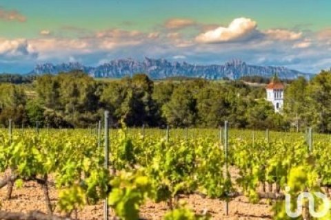 8000 sq.m. commercial property for sale in Canyelles, Girona, Catalonia, Spain № 5093 - photo 25