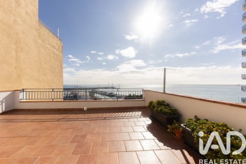 599 sq.m. commercial property for sale in L'Ampolla, Tarragona, Catalonia, Spain № 7437