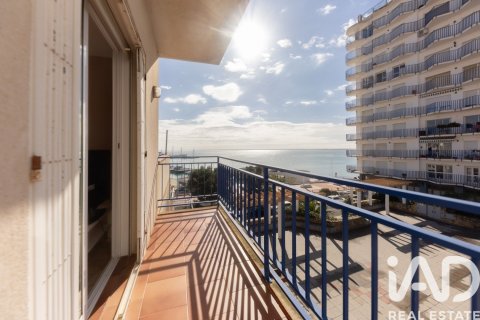 599 sq.m. commercial property for sale in L'Ampolla, Tarragona, Catalonia, Spain № 7437 - photo 4