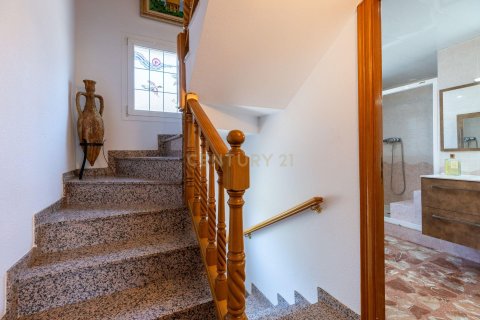 Купить дом в Сентменат, Испания с 5 спален, 252.52м², № 7657 - фото 18