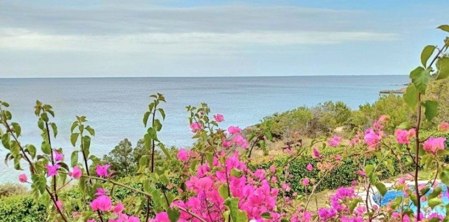 Дом с 5 спальнями в Л'Аметлья-де-Мар, Таррагона, Каталония, Испания № 5036