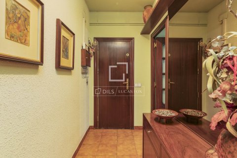 5 chambres penthouse à vendre à Barcelona, Catalonia, Spain № 4456 - photo 13