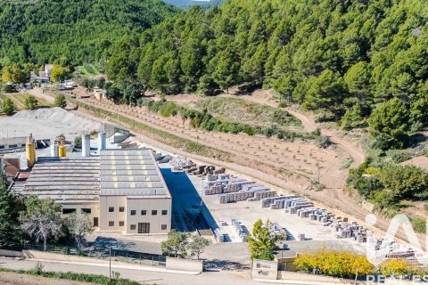 2589 sq.m. commercial property for sale in Sant Quinti de Mediona, Barcelona, Catalonia, Spain № 7500 - photo 12
