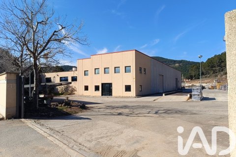 2589 sq.m. commercial property for sale in Sant Quinti de Mediona, Barcelona, Catalonia, Spain № 7500 - photo 9