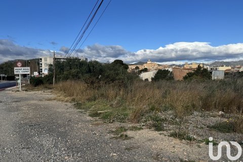 Купить земельный участок в Мон-Риг-дель-Камп, Испания 9234м², № 4977 - фото 6