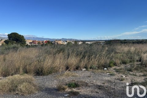 Купить земельный участок в Мон-Риг-дель-Камп, Испания 9234м², № 4977 - фото 4