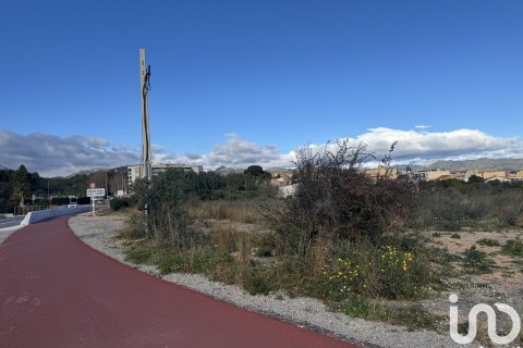 Купить земельный участок в Мон-Риг-дель-Камп, Испания 9234м², № 4977 - фото 7