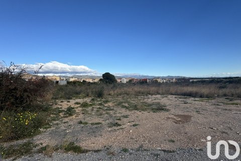 Купить земельный участок в Мон-Риг-дель-Камп, Испания 9234м², № 4977 - фото 2