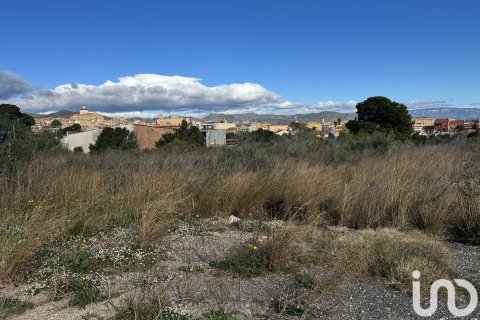 Купить земельный участок в Мон-Риг-дель-Камп, Испания 9234м², № 4977 - фото 3