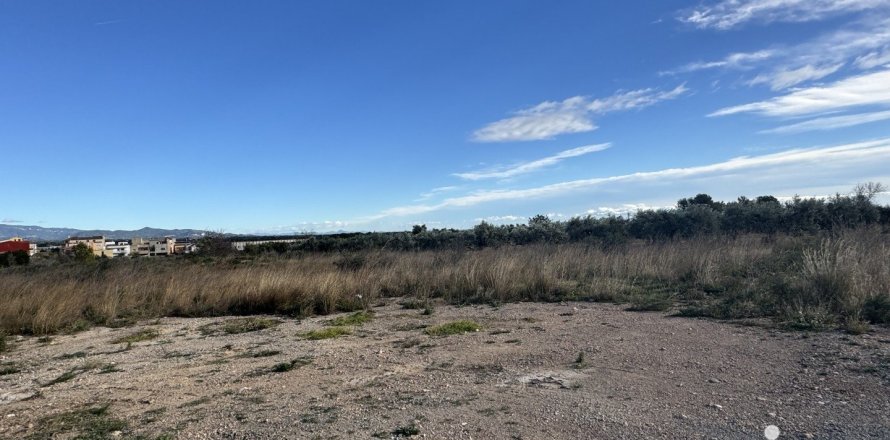 Земельный участок 9234м² в Мон-Риг-дель-Кампе, Таррагона, Каталония, Испания № 4977