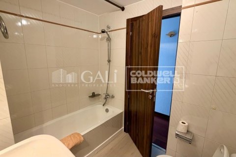 Снять в аренду квартиру в Андорра, Испания с 4 спальни, 130м², № 7700 - фото 4
