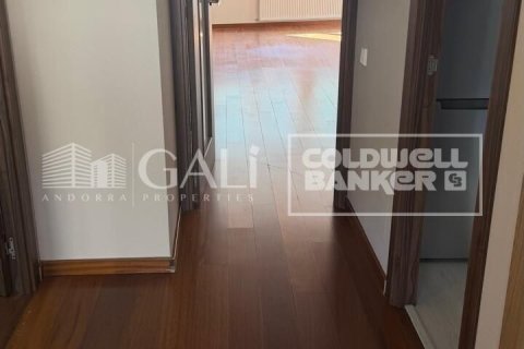Снять в аренду квартиру в Андорра, Испания с 4 спальни, 130м², № 7700 - фото 3