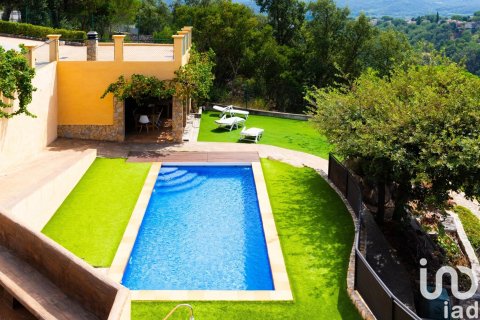 Дом с 5 спальнями в Рьельс-и-Вьябреа, Герона, Каталония, Испания № 5008