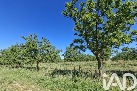 Купить коммерческую недвижимость в Ульдекона, Испания № 7428 - фото 20