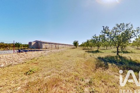 Купить коммерческую недвижимость в Ульдекона, Испания № 7428 - фото 6