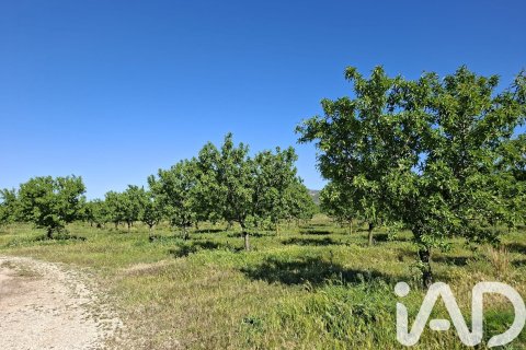 Купить коммерческую недвижимость в Ульдекона, Испания № 7428 - фото 23