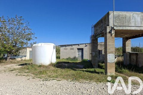 Купить коммерческую недвижимость в Ульдекона, Испания № 7428 - фото 15