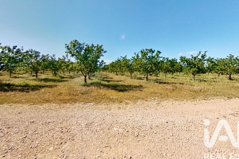 Купить коммерческую недвижимость в Ульдекона, Испания № 7428 - фото 5