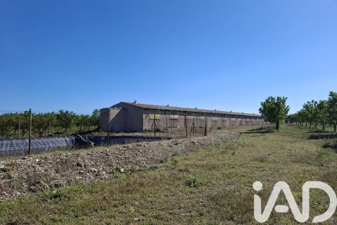 Купить коммерческую недвижимость в Ульдекона, Испания № 7428 - фото 8
