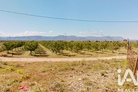 Купить коммерческую недвижимость в Ульдекона, Испания № 7428 - фото 29