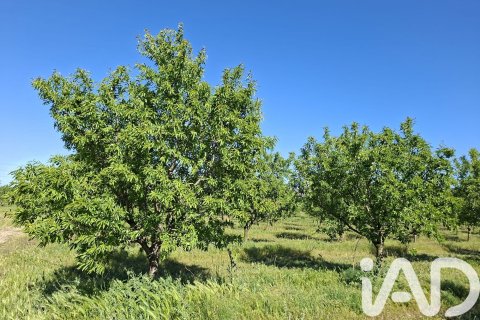 Купить коммерческую недвижимость в Ульдекона, Испания № 7428 - фото 24