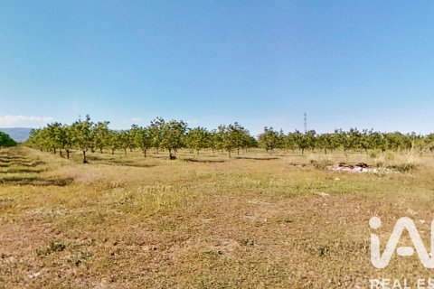 Купить коммерческую недвижимость в Ульдекона, Испания № 7428 - фото 18