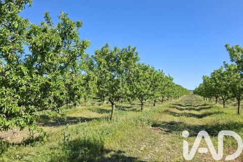 Купить коммерческую недвижимость в Ульдекона, Испания № 7428 - фото 2