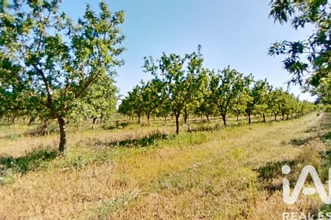 Купить коммерческую недвижимость в Ульдекона, Испания № 7428 - фото 21