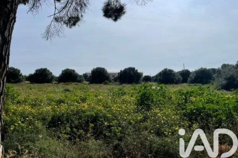 21004 sq.m. land plot for sale in Cambrils, Tarragona, Catalonia, Spain № 7430 - photo 3