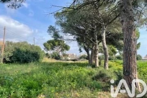 21004 sq.m. land plot for sale in Cambrils, Tarragona, Catalonia, Spain № 7430 - photo 2