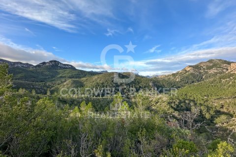 279167 sq.m. land plot for sale in Pratdip, Tarragona, Catalonia, Spain № 5548 - photo 12