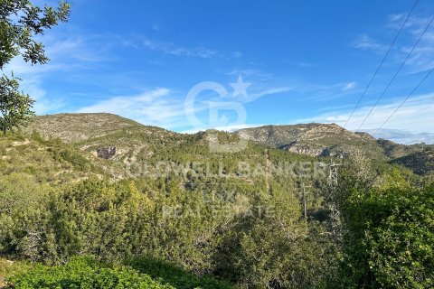279167 sq.m. land plot for sale in Pratdip, Tarragona, Catalonia, Spain № 5548 - photo 18