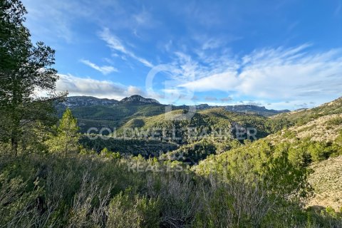 279167 sq.m. land plot for sale in Pratdip, Tarragona, Catalonia, Spain № 5548 - photo 9