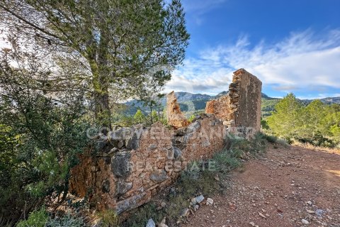 279167 sq.m. land plot for sale in Pratdip, Tarragona, Catalonia, Spain № 5548 - photo 16