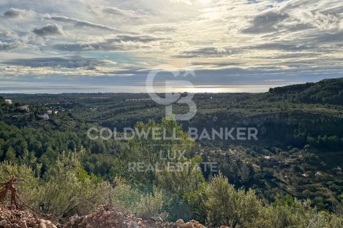 279167 sq.m. land plot for sale in Pratdip, Tarragona, Catalonia, Spain № 5548 - photo 17