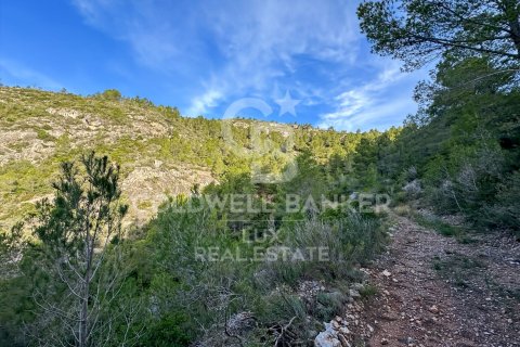 279167 sq.m. land plot for sale in Pratdip, Tarragona, Catalonia, Spain № 5548 - photo 8