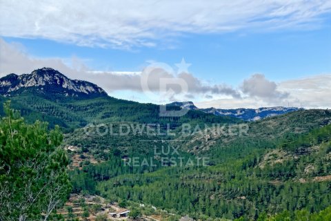 279167 sq.m. land plot for sale in Pratdip, Tarragona, Catalonia, Spain № 5548 - photo 3